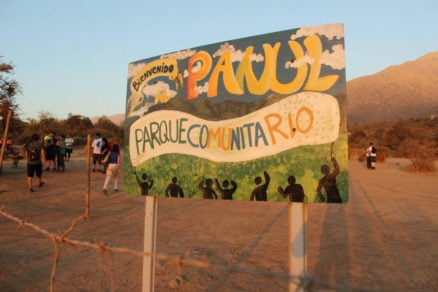 Ciudadanía y Universidad Diego Portales llegan al Tribunal Ambiental para proteger el bosque El Panul Ciudadanía y Universidad Diego Portales llegan al Tribunal Ambiental para proteger el bosque El Panul